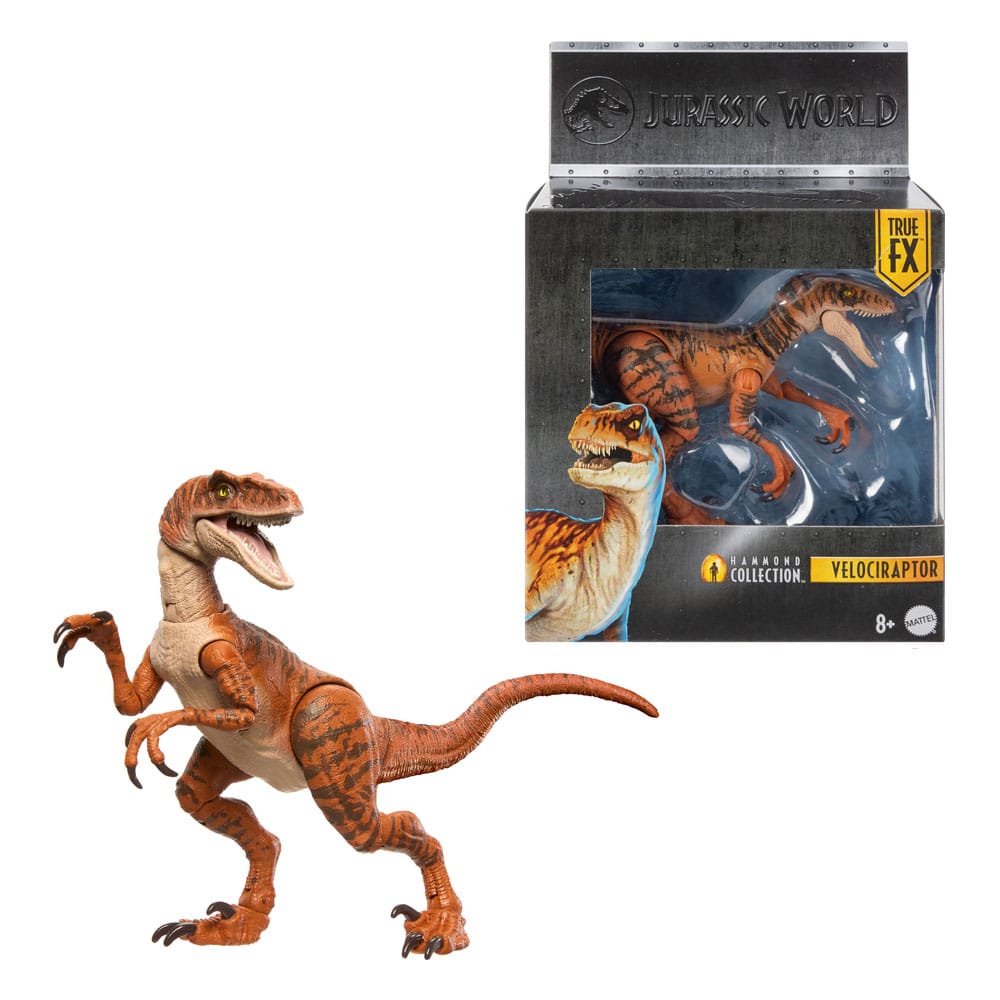 Jurassic World Hammond Collection Velociraptor Action Figure - Mattel