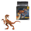 Jurassic World Hammond Collection Velociraptor Action Figure - Mattel