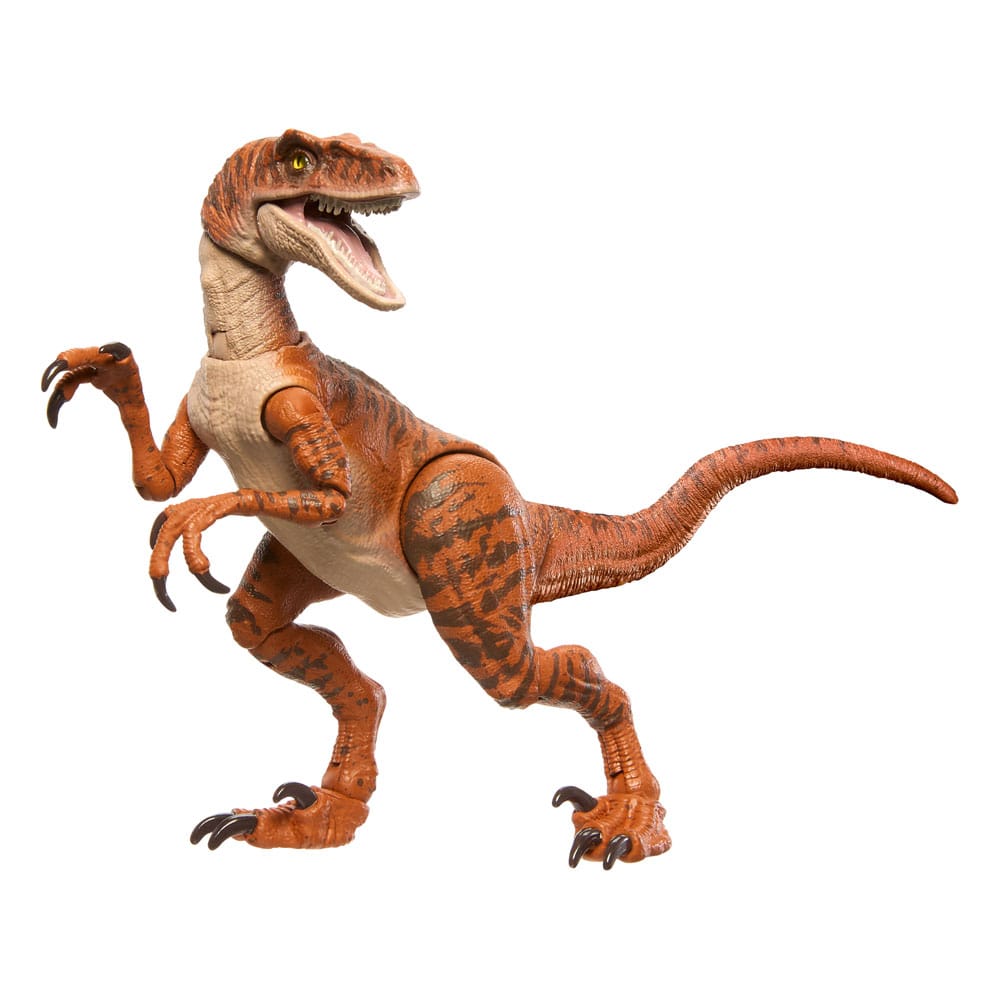Jurassic World Hammond Collection Velociraptor Action Figure - Mattel