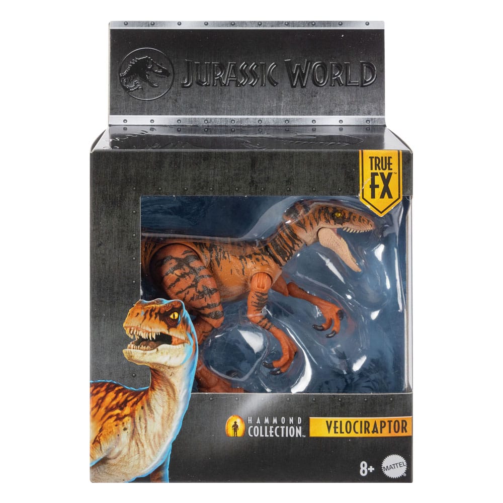 Jurassic World Hammond Collection Velociraptor Action Figure - Mattel